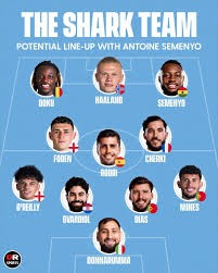 跟队：多特在与狼队谈法比奥-席尔瓦转会，预计本周将加速